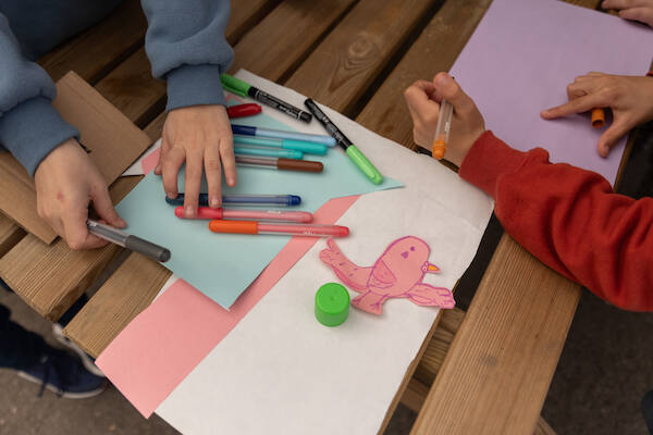 NINHOabrigo NINHOabrigo