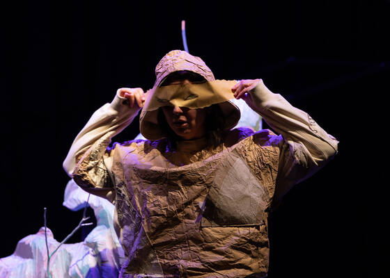 A menina que pintava pássaros . 66